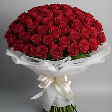 Букет 101 Красная роза Блэк Мэджик #REPLACE_PRED# Гирей