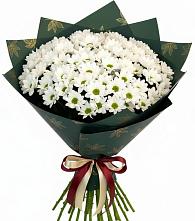 Букет цветов из:  Хризантемы в Гирей