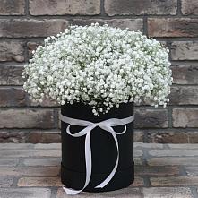 Цветочная композиция из Гипсофила в шляпной коробке #REPLACE_PRED# Гирей